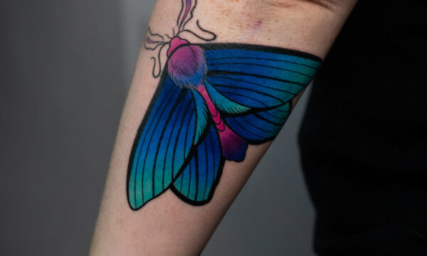 Neotradycyjny tatuaż przedstawiający owada, wykonany przez Adriana w studiu INK-OGNITO Tattoo Rybnik. Wzór o mocnych konturach i kolorowym wypełnieniu, łączący klasyczne elementy z nowoczesnym stylem.